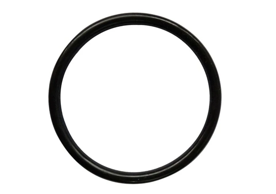 O-ring for Cornelius Keg Lid