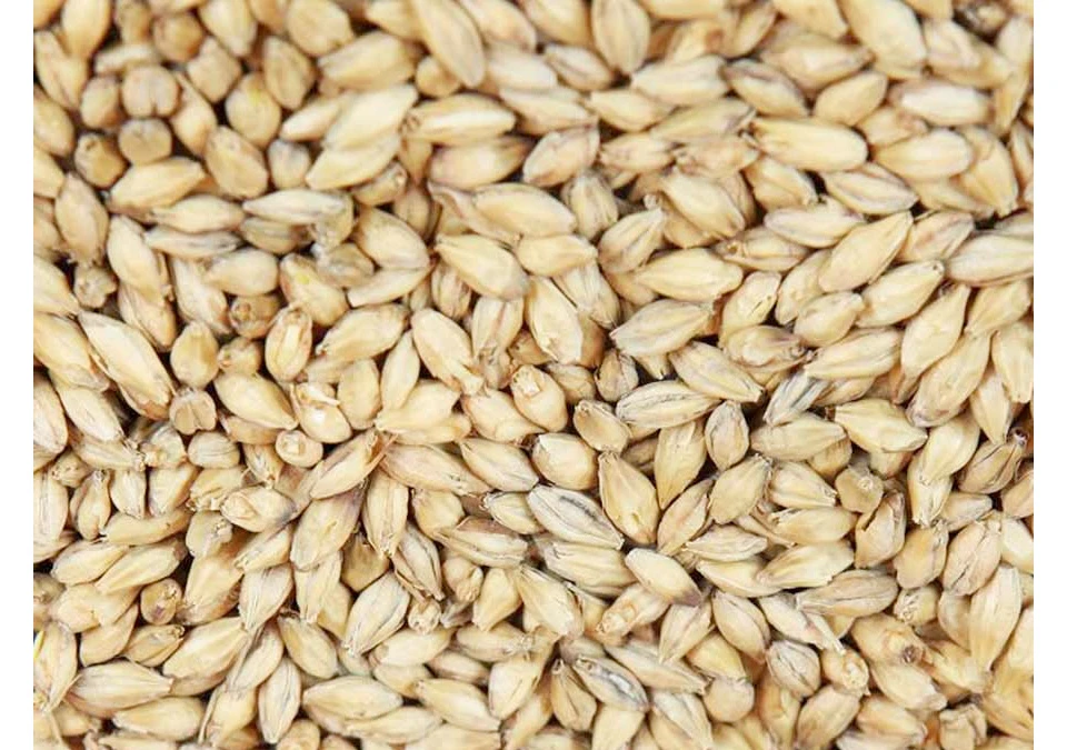 Weyermann Pale Ale Malt 1kg Whole